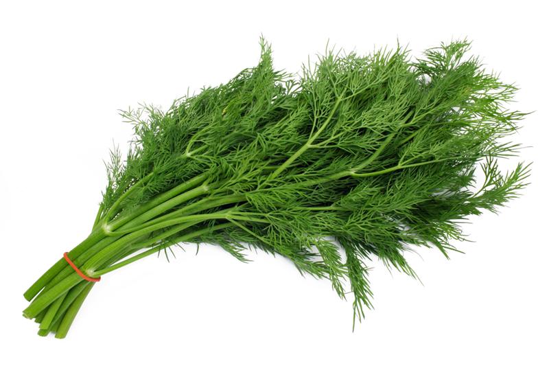 dill