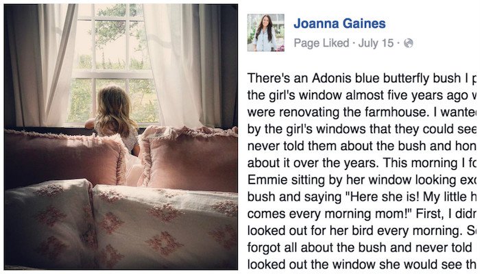 joanna-gaines-facebook-viral